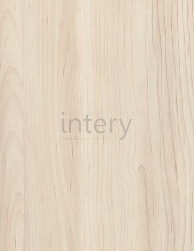 H3860 ST9 Javor Hard šampaňský_vestavene_skrine_a_kuchyne