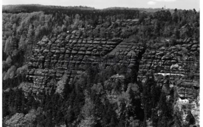 vestavene-skrine-na-miru-designglass-BW 01