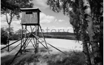 vestavene-skrine-na-miru-designglass-BW 07