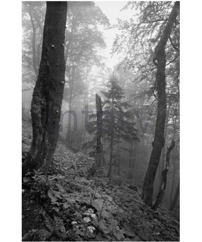 vestavene-skrine-na-miru-designglass-BW 18