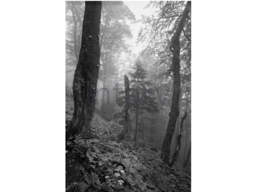 vestavene-skrine-na-miru-designglass-BW 18