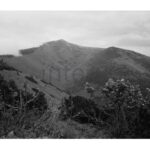 vestavene-skrine-na-miru-designglass-BW 19