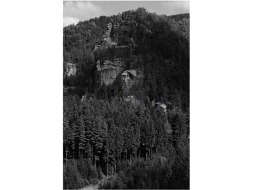 vestavene-skrine-na-miru-designglass-BW 31