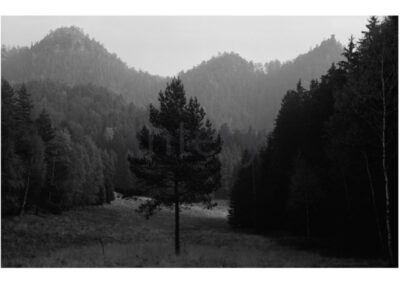 vestavene-skrine-na-miru-designglass-BW 36