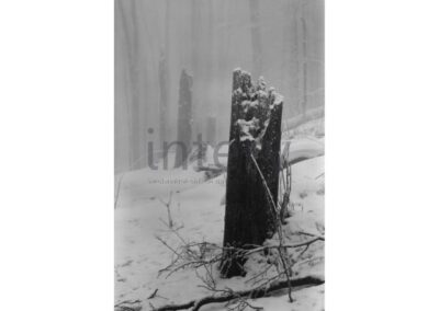 vestavene-skrine-na-miru-designglass-BW 38