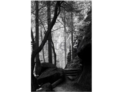 vestavene-skrine-na-miru-designglass-BW 42