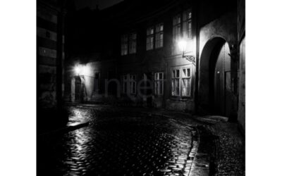 vestavene-skrine-na-miru-designglass-BW 43