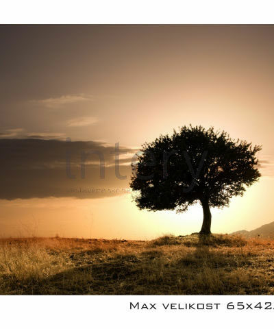 vestavene-skrine-na-miru-designglass-PH07