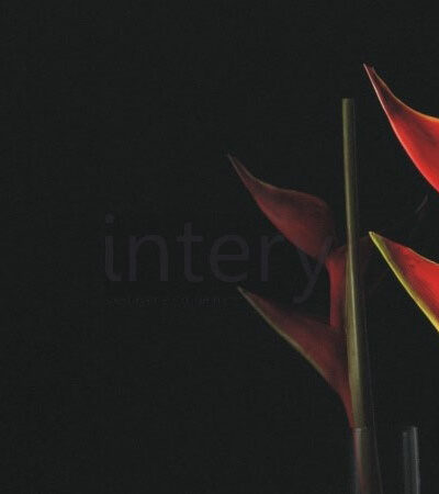 lacobel_0337_Black-Starlight