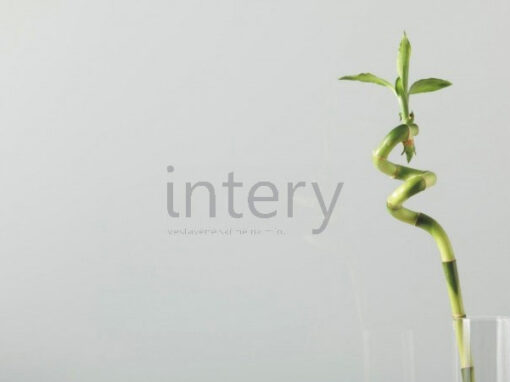 lacobel_7035_Grey-Classic